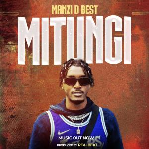 Listen to Mitungi song with lyrics from Manzi Dbest