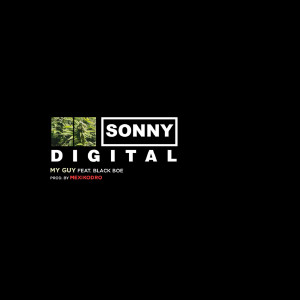Listen to My Guy (feat. Black Boe) song with lyrics from Sonny Digital