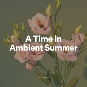 A Time in Ambient Summer