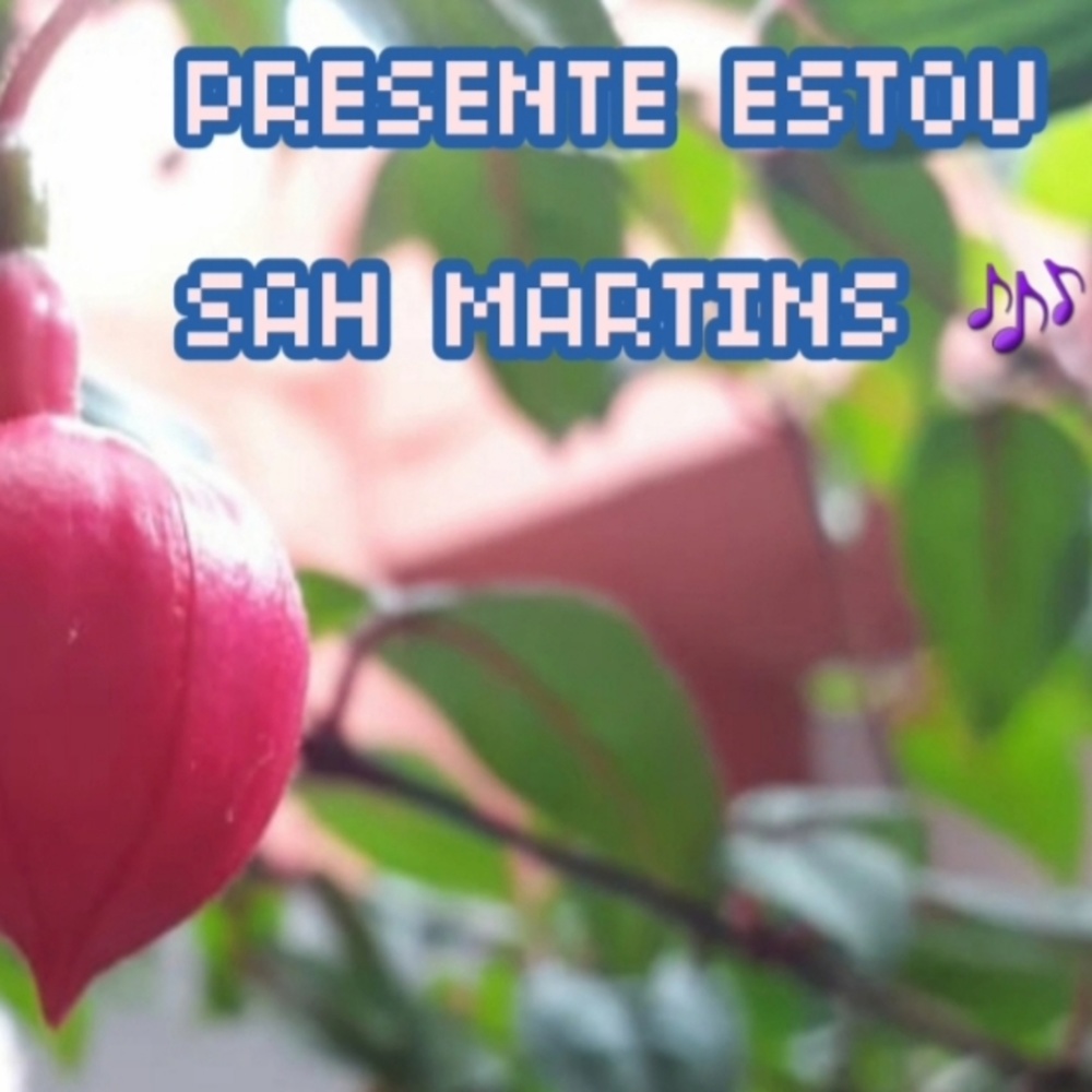Presente Estou (其他)