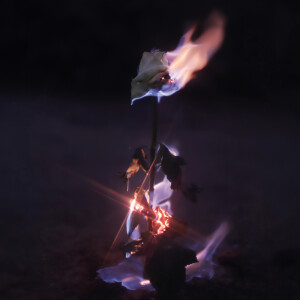 Listen to Shadows In The Air song with lyrics from Farwarmth