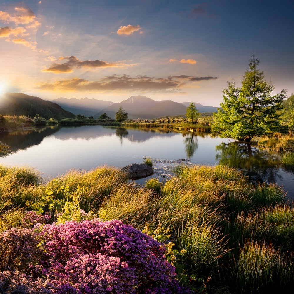 Resting Waters