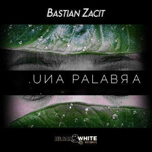 收听Bastian Zacit的Gracias a la Vida (其他)歌词歌曲