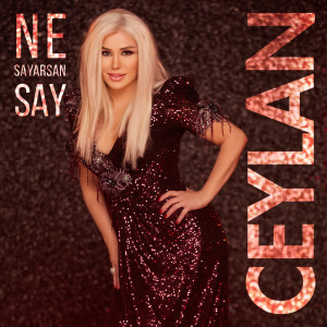 Listen to Ne Sayarsan Say song with lyrics from Ceylan