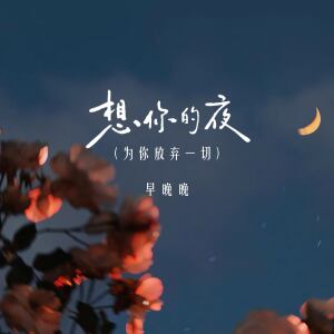 Album 想你的夜 (为你放弃一切) from 