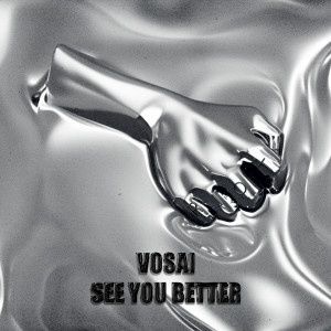 Vosai的專輯See You Better