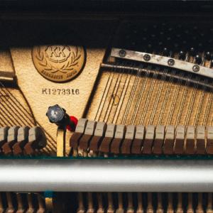 Listen to The Golden Hourglass song with lyrics from Velvet Blu