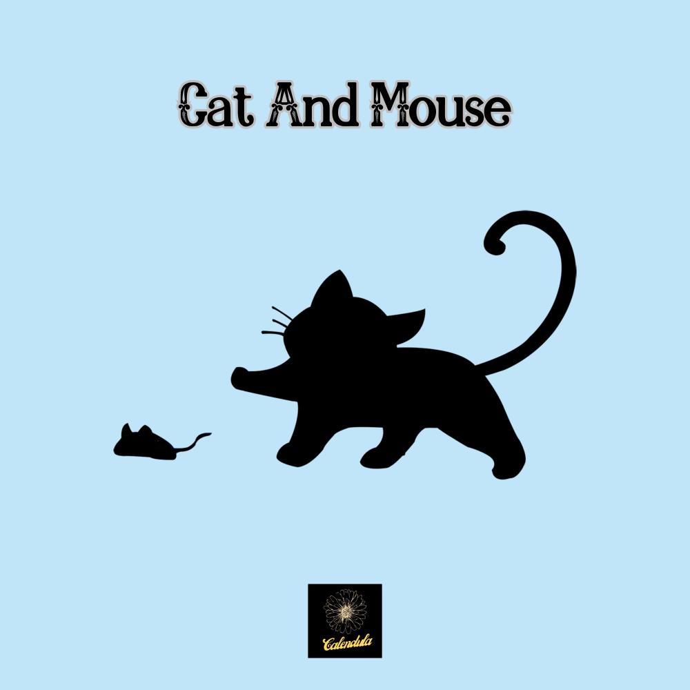 Cat and Mouse
