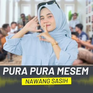 Dengarkan PURA-PURA MESEM lagu dari Nawang Sasih dengan lirik