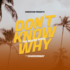 Chardonnay的专辑Don't Know Why (Reggae Remix)