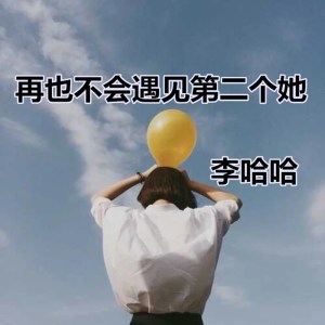Listen to 再也不会遇见第二个她 song with lyrics from 李哈哈