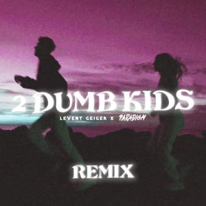 收聽Levent Geiger的2 Dumb Kids (Paradigm Remix)歌詞歌曲