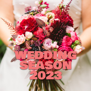 Various的專輯Wedding Season 2023