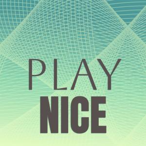 Album Play Nice oleh Various Artists