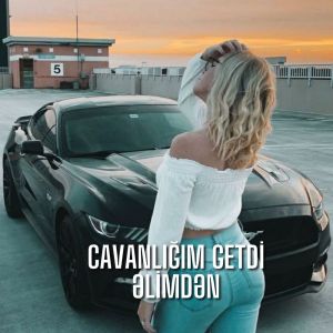 Listen to Cavanlığım Getdi Əlimdən (Remix) song with lyrics from Black Region