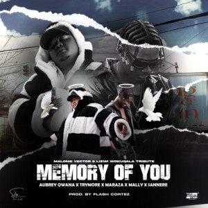 อัลบัม Memory Of You ศิลปิน Aubrey Qwana