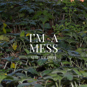 Dengarkan I'm a Mess lagu dari Seth Baldwin dengan lirik