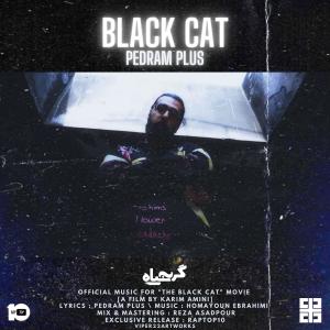 收听Pedram Plus的Black Cat歌词歌曲
