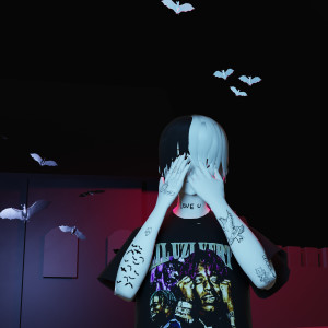 Listen to Real Vamp song with lyrics from Callmydd