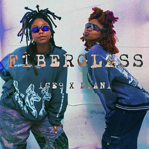 Album Fiberglass (Explicit) oleh Diani