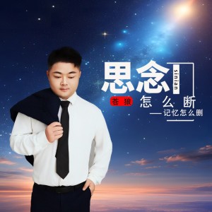 Listen to 思念怎么断记忆怎么删 (DJ阿能版伴奏) song with lyrics from 申光惠