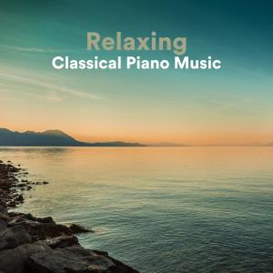 收听Amy Mary Collins的Married Life (Arr. for Piano)歌词歌曲