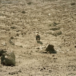 收聽Ben Howard的Nica Libres At Dusk (Radio Edit)歌詞歌曲