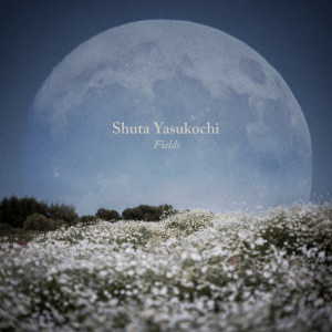 ดาวน์โหลดและฟังเพลง Fields พร้อมเนื้อเพลงจาก Shuta Yasukochi