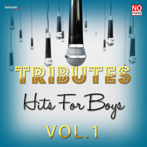 อัลบัม Tributes - Hits for Boys Vol. 1 ศิลปิน Ameritz Tribute Standards