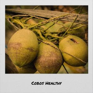 Various Artists的專輯Cobos Healthy