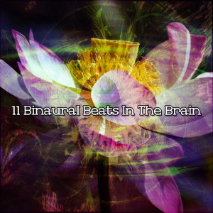 Binaural Beats Sleep的专辑11 Binaural Beats In The Brain