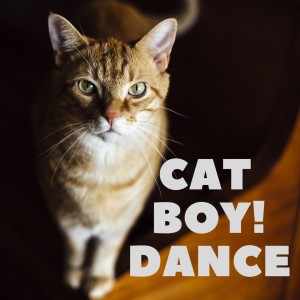 ดาวน์โหลดและฟังเพลง Bridget Jones พร้อมเนื้อเพลงจาก Digilio Edm