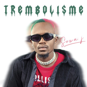 Listen to MONEY (Explicit) song with lyrics from SOWA J