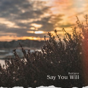 收聽Kotaro的Say You Will歌詞歌曲