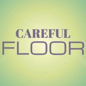 Album Careful Floor from Various