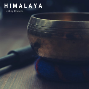 Healing Chakras dari Himalaya