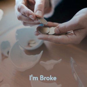 收聽The Sputniks的The Johnny's Little Lamb歌詞歌曲