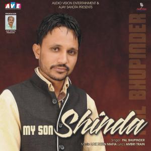 Listen to My Son Shinda song with lyrics from Pal Bhupinder