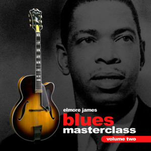 ดาวน์โหลดและฟังเพลง The Twelve Year Old Boy พร้อมเนื้อเพลงจาก Elmore James