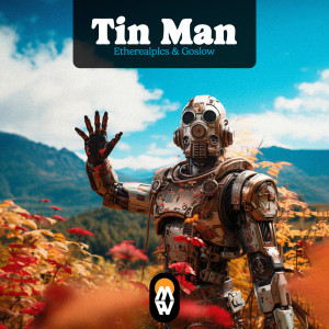 ดาวน์โหลดและฟังเพลง Tin Man พร้อมเนื้อเพลงจาก Goslow