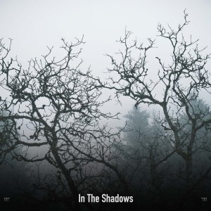!!!!" In The Shadows "!!!!