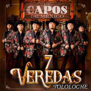收听Los Capos De Mexico的7 Veredas (Tololoche)歌词歌曲