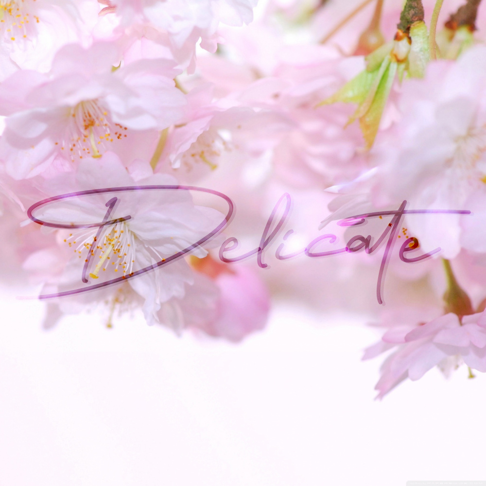 Delicate