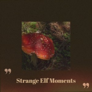 Album Strange Elf Moments from Various