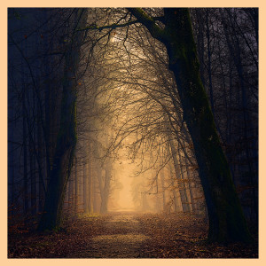 Oscar Peterson的專輯Light in the Dark Forest