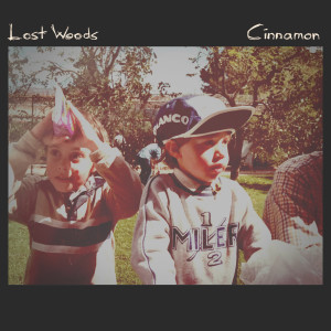 Album Cinnamon from Lost Woods