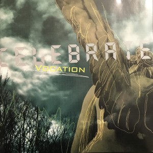 ดาวน์โหลดและฟังเพลง Celebrate พร้อมเนื้อเพลงจาก Vocation
