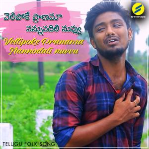 Listen to Vellipoke Pranama Nannodali Nuvvu song with lyrics from Karunakar