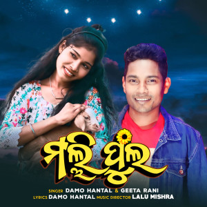 Listen to Malli Phula song with lyrics from Damo Hantal