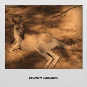 Listen to Enunciate Wherewith song with lyrics from Carms Blin